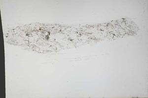 Plane Polarized, S55364