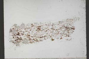 Plane Polarized, S55367