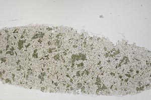 Plane Polarized, S55372