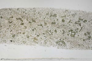 Plane Polarized, S55374