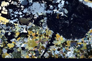 Cross Polarized, S55399