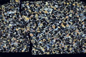 Cross Polarized, S55404