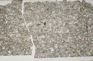 Plane Polarized, S55404