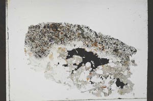 Plane Polarized, S55416