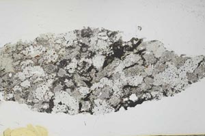 Plane Polarized, S55439