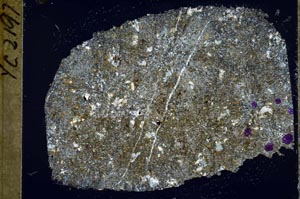 Cross Polarized, S55464