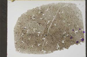 Plane Polarized, S55464