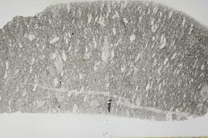 Plane Polarized, S55465