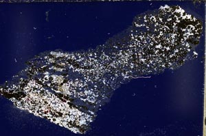 Cross Polarized, S55467