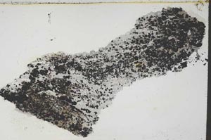 Plane Polarized, S55467