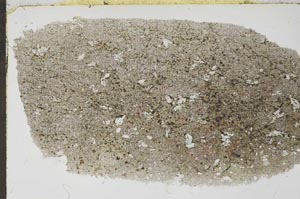 Plane Polarized, S55470