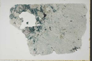 Plane Polarized, S55473