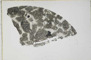 Plane Polarized, S55475