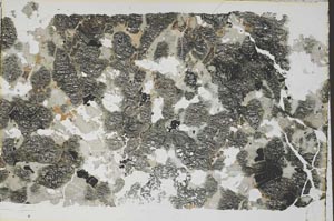 Plane Polarized, S55476