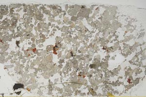 Plane Polarized, S55482