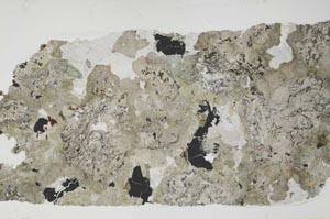 Plane Polarized, S55483