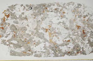 Plane Polarized, S55484