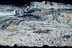 Cross Polarized, S55489