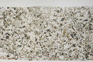 Plane Polarized, S55493