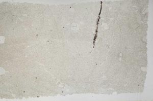 Plane Polarized, S55563