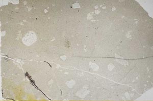 Plane Polarized, S55564