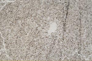 Plane Polarized, S55572