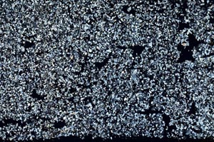 Cross Polarized, S55501