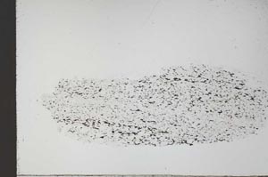 Plane Polarized, S55507