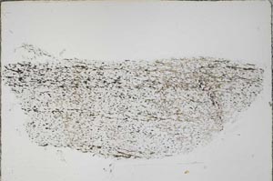 Plane Polarized, S55521