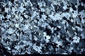 Cross Polarized, S55534
