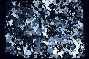 Cross Polarized, S55536