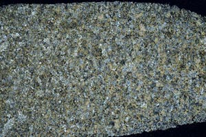 Cross Polarized, S55539