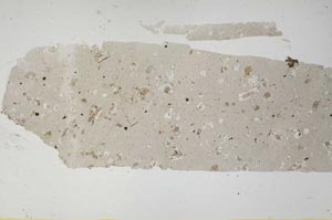 Plane Polarized, S55548