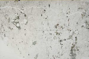 Plane Polarized, S55558