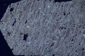 Cross Polarized, S55594