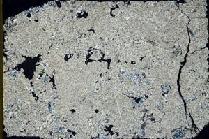 Cross Polarized, S55635