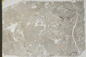 Plane Polarized, S55635