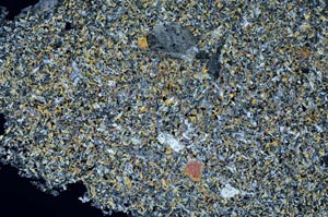 Cross Polarized, S55702