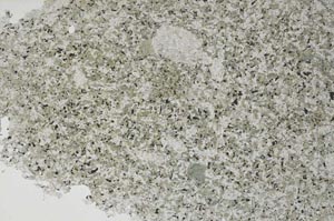 Plane Polarized, S55702