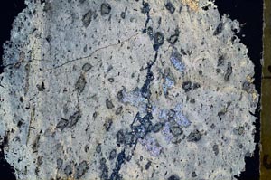 Cross Polarized, S55711