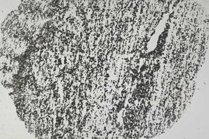 Plane Polarized, S55723