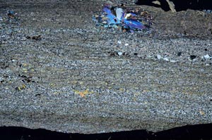 Cross Polarized, S55725