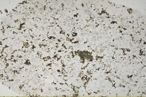 Plane Polarized, S55751