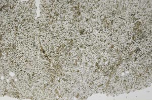 Plane Polarized, S55755