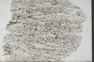 Plane Polarized, S55765