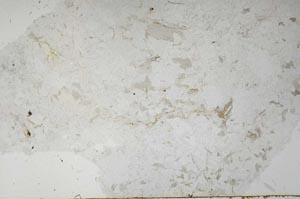 Plane Polarized, S55767