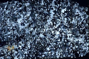 Cross Polarized, S55771
