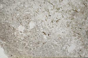 Plane Polarized, S55824