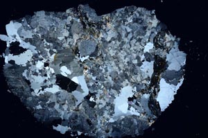 Cross Polarized, S55834