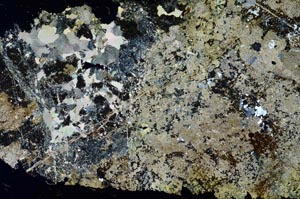 Cross Polarized, S55835